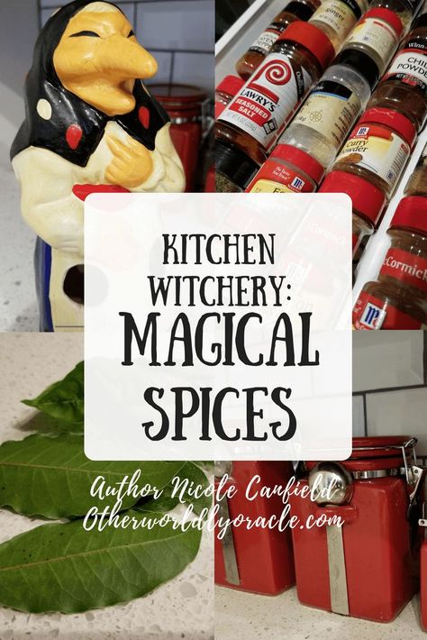 If you're a kitchen witch, you will use the magical spices and herbs from your garden or right from your kitchen cabinet. Learn of the common ones here. Herbs And Uses, Kitchen Witch Herbs, Magic Spices, Magical Kitchen, Magical Oils, Herbal Witch, Kitchen Witch Recipes, Witchy Kitchen, Witch Herbs