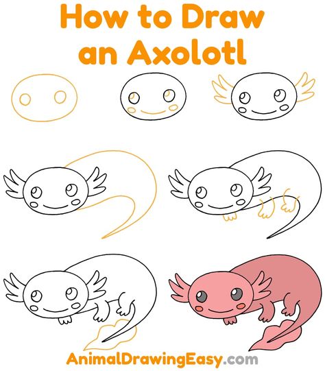 How to Draw an Axolotl Step by Step #Axolotl #CuteAxolotl #CartoonAxolotl #EasyAxolotlDrawing #EasyDrawings #EasyDraw #AxolotlDrawingTutorial #AxolotlDrawings #AxolotlSketch #AxolotlCartoon #AxolotlArt #AmphibianDrawings Axolotl Drawing Tutorial, How To Draw An Axolotl Step By Step, Axolotl Girl Scouts, How To Draw Axolotl Easy, Axolotl Activities For Kids, Axolotl Art Project, Axolotl Craft Ideas, Axolotl Painting Easy, Diy Axolotl Crafts