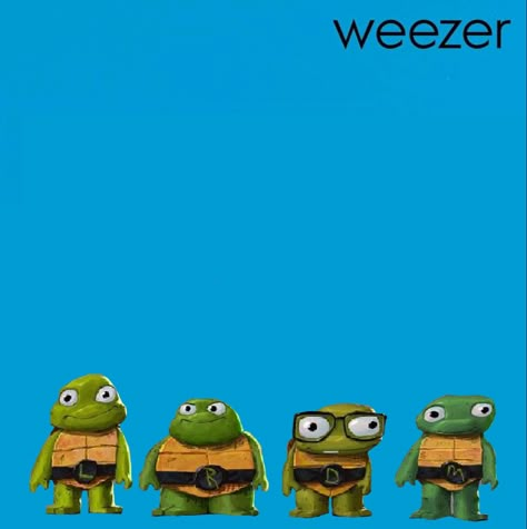 four evenly spaced out turtles on a blue background with the weezer logo up top Tmnt Cursed Pictures, Mutant Mayhem Pfp, Donnie Mutant Mayhem, Tmnt Memes Funny, Tmnt 2012 Memes Funny, Ninja Turtle Memes Funny, Rise Of The Teenage Mutant Ninja Turtles Memes, Tmnt Characters, Turtle Memes Funny