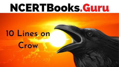 #10LinesonCrow #Crow Side Crow, Baby Crows, American Crow, Common Birds, Jackdaw, Spark Up, Environmental Pollution, Black Crow, Kids Set