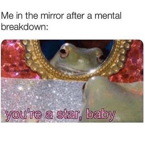 A Frog, Wholesome Memes, E Card, What’s Going On, Really Funny Memes, Animal Memes, Best Memes, Mood Pics, Dankest Memes