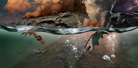 Permian extinction scene Permian Extinction, Sidney Australia, Mass Extinction, Northern Arizona University, Archaeology News, Marine Ecosystem, Sea Level Rise, Marine Environment, Prehistoric Creatures