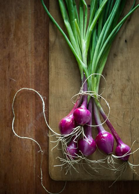 Onions Dark Food, Vegetables Photography, Purple Food, Fruit Photography, Fruit And Veg, Photographing Food, Malbec, Fresh Vegetables, Beautiful Food