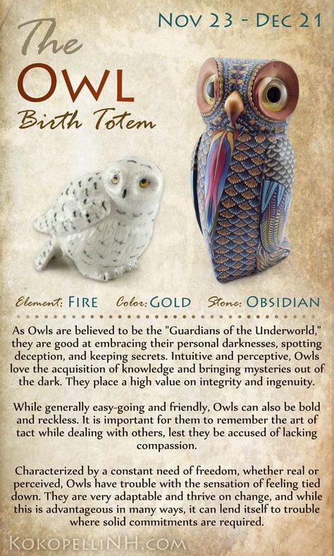 Birth Totem, Arte Haida, Native American Zodiac, Spirit Animal Totem, Totem Animals, Native American Wisdom, Animal Spirit Guides, Animal Guides, Animal Spirit