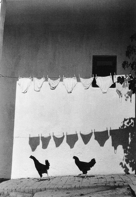 Bruno Bourel Laundry Hanging, Lee Mathews, Vintage Foto's, Clothes Hanging, Black And White Photograph, Shadow Play, Photo B, Foto Vintage, Foto Art