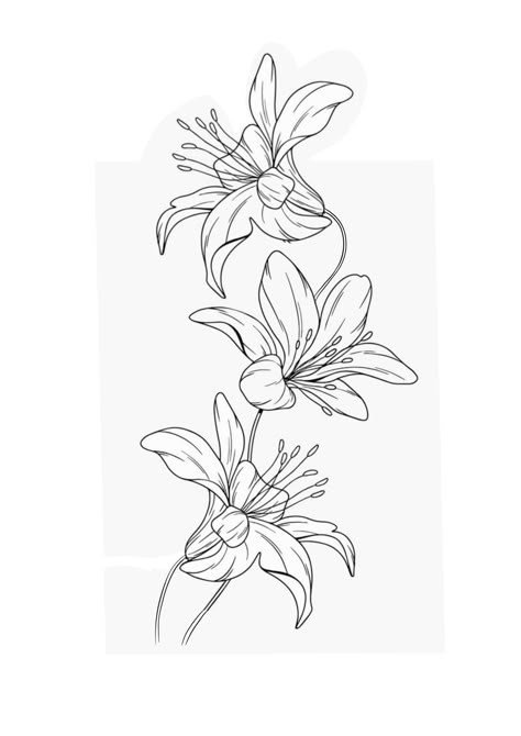 Lily Flower Tattoo Designs For Women, Tiger Lily Tattoos For Women, Tiger Lily Drawing Simple, Gumamela Tattoo, Tiger Lily Sketch, Dainty Leg Tattoos Women, Lily Flower Outline, Patch Work Back Tattoo, Lilly Sketch