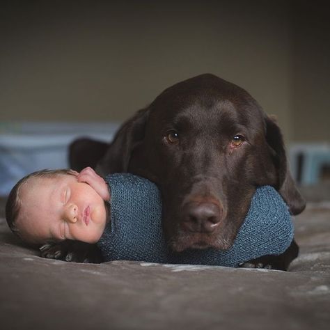 Baby Pictures Newborn, Newborn Baby Photoshoot, The Newspaper, Newborn Shoot, Dogs And Kids, Newborn Baby Photography, Newborn Photoshoot, Newborn Pictures, Baby Photoshoot