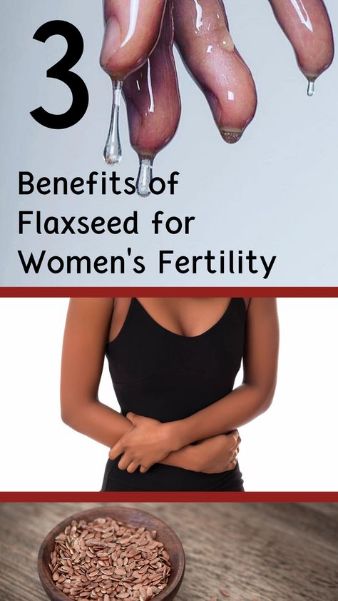 If you’re trying to conceive or reverse certain #fertility issues you might want to try some #flaxseed, or “#linseed” as my Jamaican grandparents might say. Benefits Of Flaxseed, Fertility Smoothie, Cervical Mucus, Fertility Foods, Fertility Health, Food Advice, Female Fertility, Natural Fertility, Fertility Boost