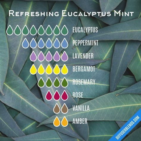 Refreshing Eucalyptus Mint | DiffuserBlends.com Eucalyptus Mint Candle, Diy Perfumes, Diffuser Oils, Mint Essential Oil, Liquid Castile Soap, Diy Perfume, Essential Oil Diffuser Recipes, Oil Diffuser Recipes, Eucalyptus Mint