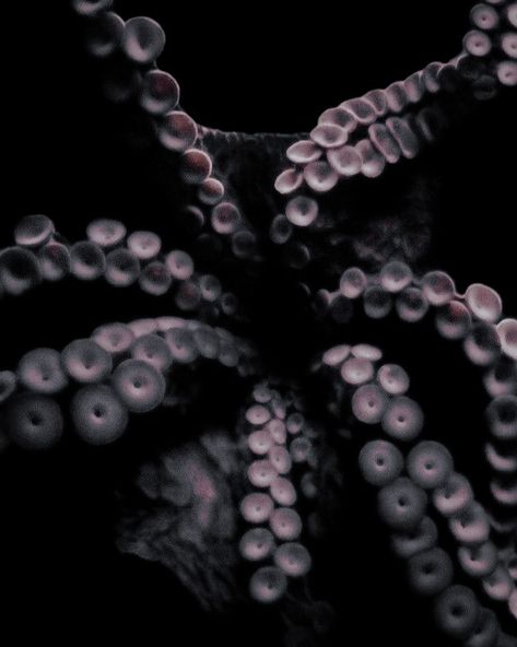 Tentacle Aesthetic, Kraken Aesthetic, Ursula Aesthetic, Black Tentacles, Octopus Aesthetic, Marine Aesthetic, Candle Aesthetics, Pixie Aesthetic, Projector Photography