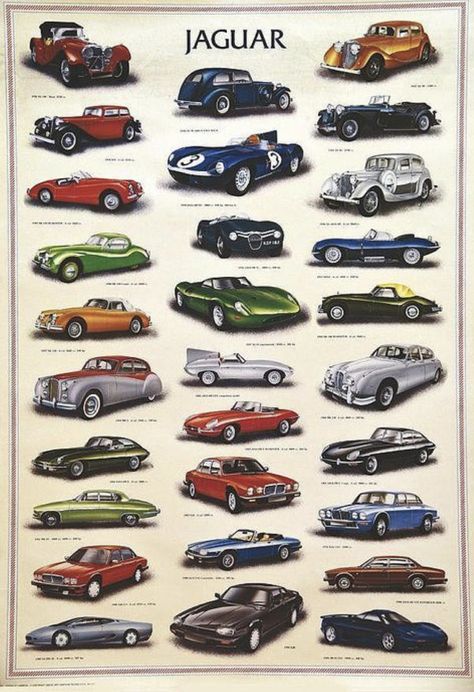 Jaguar Auto, Xe Ducati, Cars Jaguar, Aventador Lamborghini, Jaguar (cars), Jaguar Daimler, Lamborghini Miura, Jaguar Cars, Pagani Zonda