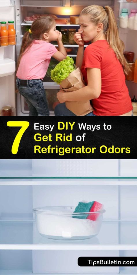 Discover ways to remove a bad odor from a fridge by giving it a deep clean and using an air freshener. It’s simple to eliminate a bad smell with baking soda, activated charcoal, and essential oils, and vinegar cleans away odor-causing bacteria. #homemade #refrigerator #odor #remover Diy Fridge Deodorizer Baking Soda, Smelly Refrigerator, Fridge Odor Eliminator, Fridge Smells, Fridge Deodorizer, Fridge Odor, Diy Household Cleaners, Clean Refrigerator, Cleaning Mold