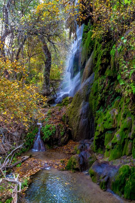 101 Fun Things to Do in Texas (Bucket List Ideas!) Hikes In Texas, Texas Hiking Trails, Caprock Canyon State Park, Colorado Bend State Park, Texas Weekend Getaways, Things To Do In Texas, Hiking In Texas, Best Romantic Getaways, Guadalupe Mountains National Park