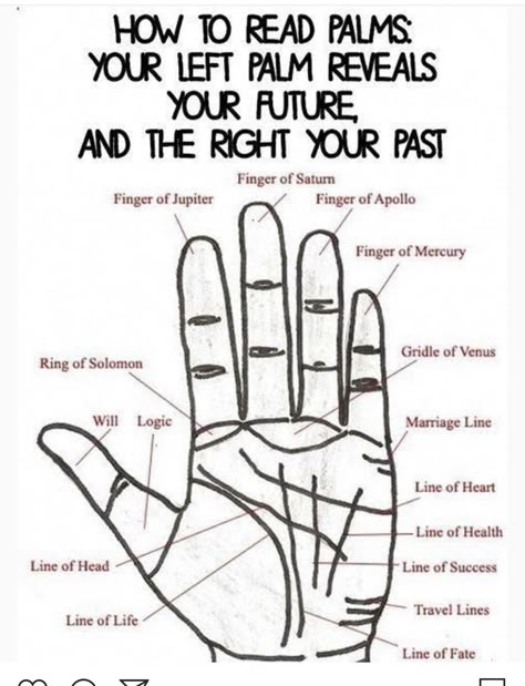 How To Read Palms, Palm Reading Lines, Palm Reading Charts, Palmistry Reading, Reading Charts, Numerology Life Path, Witch Spirituality, Magic Spell Book, Lace Tape