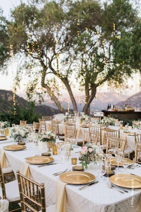 Reception Dinner, Outdoor Wedding Reception, Wedding Table Decorations, Outside Wedding, Wedding Guide, Charger Plates, Romantic Weddings, Wedding Locations, Simple Weddings