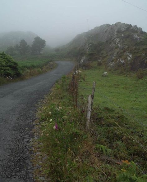 English Countryside Aesthetic, The Banshees Of Inisherin, Banshees Of Inisherin, Ireland Aesthetic, Irish Country, England Aesthetic, John Everett Millais, Irish Countryside, Foggy Morning