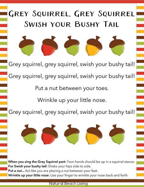 The Best Squirrel Activities for Preschool & Kindergarten, Perfect Fall Theme, Fun Fall Printables, Great squirrel lessons and activities for preschoolers Squirrel Activities, Autumn Preschool Theme, Fall Lesson Plans, Grey Squirrel, Classroom Songs, Fall Songs, Fall Preschool Activities, Fall Lessons, Preschool Music