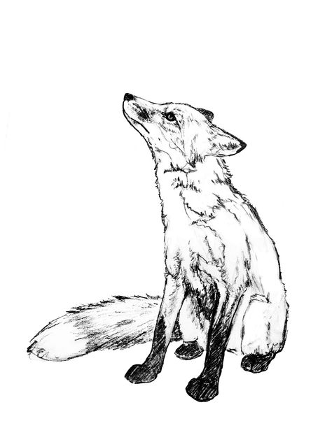 Fox Tattoo Sketch, Country Living Christmas Fair, Ireland Tattoo, Fox Sketch, Fox Tattoo Design, M Tattoos, Field Mouse, Fox Drawing, Vintage Fox