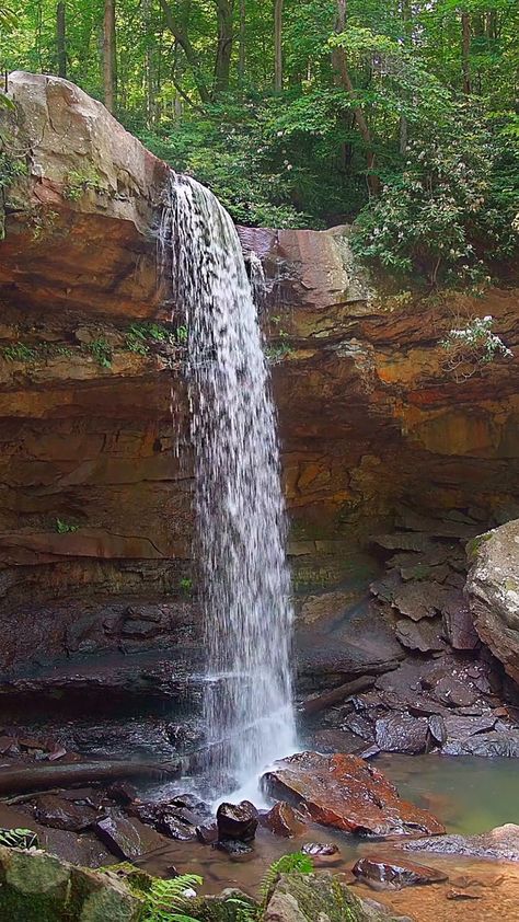 Morning Weather, Rushing Water, Cascading Waterfall, Sounds Of Nature, River Forest, Cascade Waterfall, Sleep Meditation, Mountain Stream, Small Waterfall