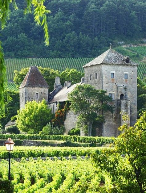 Tuscany Italy Vineyards, Backyard Vineyard, Vineyard Photography, Vineyard Art, Vineyard House, Burgundy France, French Castles, Chateau France, Benidorm