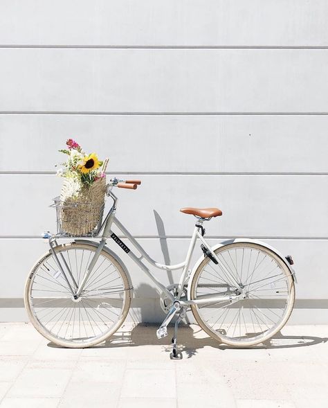 Fashion, interior and art on Instagram: “We love @nijland_nina her beautiful Veloretti bike 💐⠀ Did you know that you can custom order your Veloretti in all our stores? We have…” Bicycle Aesthetic, Aesthetic Bike, Capricorn Season, I Want To Ride My Bicycle, City Bike, Vintage Bicycles, Bike Life, Fresh Flowers, Cycling