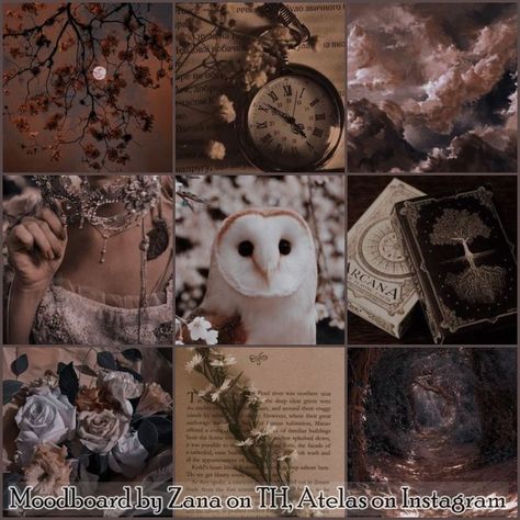 I've always loved making moodboards, so here are a few that I had fun doing. All images come from pinterest, and have a specific theme and species. They are free! use them to create your adopts or oc (no need to credit me until the signature is not removed) Adopt Idea, Free Use, Mood Board Inspiration, Wings Of Fire, Scrapbook Printables, Mood Board Design, Barn Owl, Character Aesthetic, Character Design Inspiration