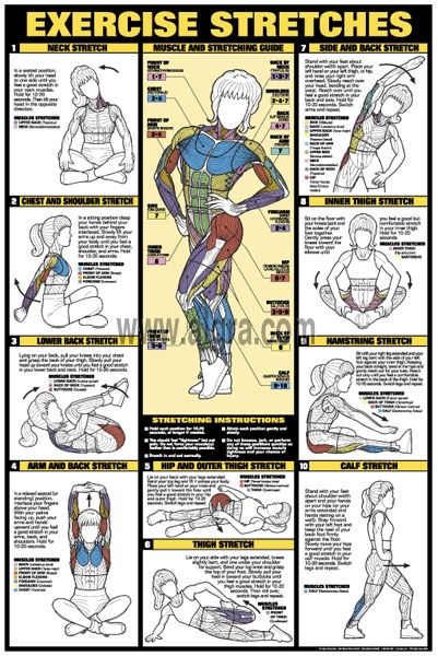 Exercise Stretches Poster | by Bruce Algra Workout Stretches, Relaxation Yoga, Yoga Relaxation, Bedtime Yoga, Exercises For Women, Workout Posters, Yoga Iyengar, Workout Chart, Stretching Exercises