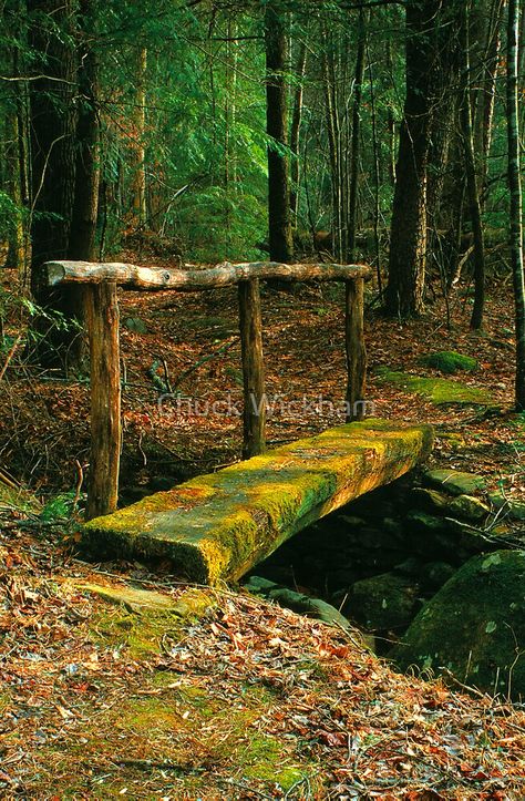 Creek Bridge Ideas, Log Bridge, Backyard Bridges, Outdoor Bridges, Creek Bridge, Wooded Landscaping, Cheap Flight, Cheap Flight Tickets, Flight Tickets