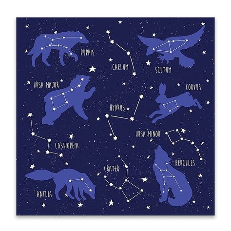 Constellation Animals, Constellation Drawing, خريطة ذهنية, Astronomy Constellations, Constellation Art, Pumpkin Painting Ideas, Astronomy Art, The Zodiac Signs, Star Constellations