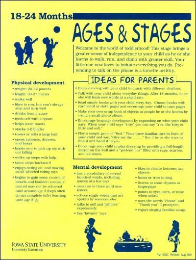 18-24 Months -- Ages and Stages - Thumbnail Educational Toddler Activities, Child Development Activities, Health Posters, Ages And Stages, Adolescent Health, Toddler Education, Developmental Stages, Health Ideas, Toddler Development