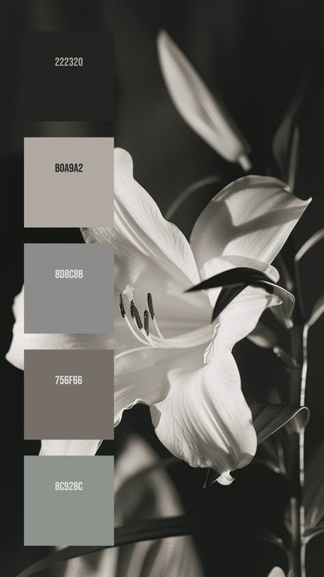 Colors:
222320
B0A9A2
8D8C8B
756F66
8C928C Minecraft Gradient Palette, Black Grey Color Palette, Dark Color Pallet, Black Colour Palette, Dark Colour Palette, Monochrome Colour Palette, Monochrome Color Scheme, Paint Color Pallets, Cozy Colors Palette