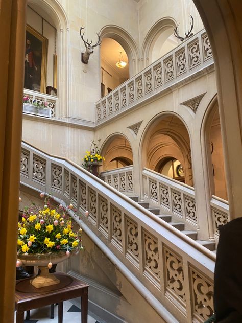 Cute Victorian castle vibes deer heads in wall Scotland Castles Interior, Cute Castle, Dunrobin Castle, Castle Estate, Castle Scotland, Castle Aesthetic, Castles Interior, Scotland Castles, Palace