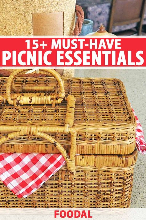 Tailgate Picnic Ideas, How To Pack A Picnic Basket Food, What To Put In A Picnic Basket Gift, Best Picnic Basket, Packing A Picnic Basket, Picnic Themed Gift Basket, How To Pack A Picnic Basket, Picnic Accessories Ideas, Lunch Ideas Picnic