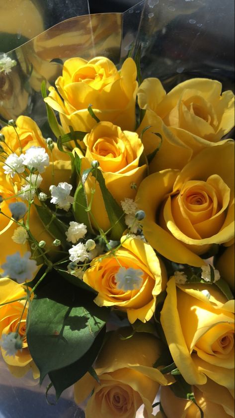 #spring #flowers #pretty #aesthetic #yellowaesthetic Flowers Pretty, Pretty Aesthetic, Flowers Yellow, Yellow Aesthetic, Yellow Roses, Sky Photography, Yellow Flowers, Spring Flowers, Roses