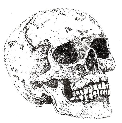 Skull stippling I did. I love doing skulls. Stippling Drawing, Dotted Drawings, Skull Sketch, Stippling Art, 1 Tattoo, Skull Drawing, Black White Art, Stippling, Gothic Art