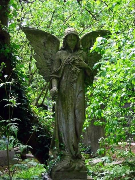 Angel Statues Sculpture, Cemetery Angels, Highgate Cemetery, Cemetery Statues, Angel Statue, Rennaissance Art, Ancient Statues, Angel Sculpture, Cemetery Art