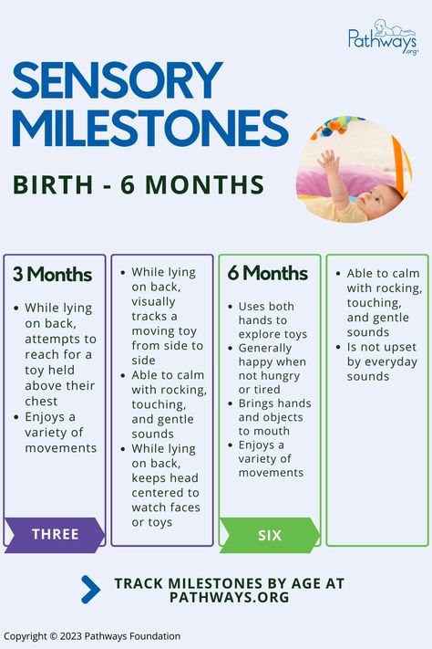 Track your newborn to 6 month old's sensory milestones, from the types of movements they enjoy to what they see in different positions. All milestones supported by American Academy of Pediatric findings. Head to Pathways.org for more milestones, from motor to communication by age! 6 Month Development Milestones, 6 Month Old Milestones, 2 Month Baby Milestones, 12 Month Milestones, Baby Development Activities, Toddler Milestones, Development Milestones, Baby Activities, Sensory Integration