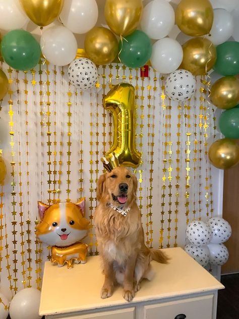 Golden Retriever Birthday, Birthday Dogs, Celebrating Birthday, 1 Year Birthday, Balloon Garland Diy, Garland Diy, Yellow Dog, Dog Birthday Party, Happy Tails