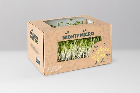 Mighty Micro approached me for a creative brand design. I created them a branding system including logo, typography (fonts), colour scheme (green, lime, forest green, yellow, blue, kraft brown), and some custom illustration. This is their live microgreen container/tub packaging. Check out my website for information on my process. Steph Chadwick Design Co. Distinctive brand design for small companies with a big mission + a bold idea. Follow me for more ideas and inspiration. Vegetable Packaging Ideas, Microgreens Packaging Ideas, Vegetable Packaging Design, Microgreen Packaging, Microgreens Packaging, Tub Packaging, Fresh Food Packaging, Microgreens Garden, Microgreens Recipe