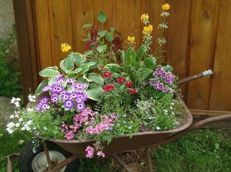 Wheelbarrow Planter Ideas, Crafts Recycled, Wheelbarrow Planter, Hippie Garden, Wheelbarrow Garden, Vintage Gardening, Recycled Garden, Garden Idea, Planter Ideas