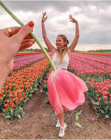 Beautiful Photoshoot Ideas, Summer Picture Poses, Spring Photoshoot, Flower Photoshoot, Instagram Flowers, Tulip Festival, Tulips Garden, Tulip Fields, Spring Wallpaper