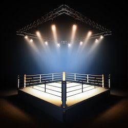 Boxing Gym Design, Gym Lighting, Boxing Rings, Gym Design Interior, Boxing Ring, Episode Backgrounds, Gym Interior, Boxing Gym, Gym Room