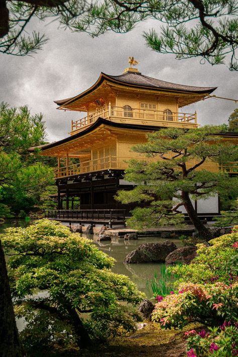 Golden temple Kyoto {Kyoto} Kyoto Golden Temple, Golden Temple Japan, Kyoto Temple, Japan Temple, Golden Temple, Bending, Kyoto, Temple, Japan