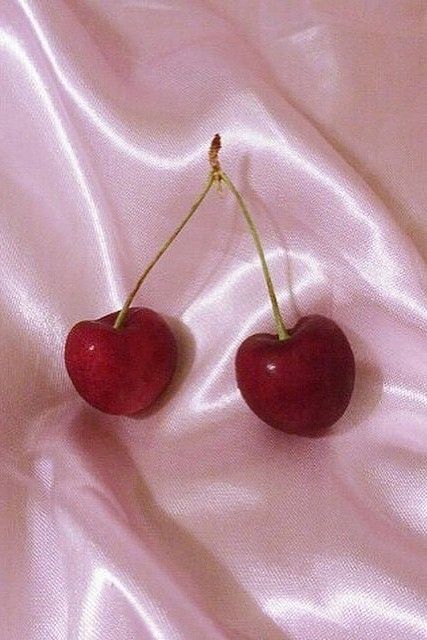 cherries on pink silk #aesthetic Photoshoot Vintage, Petra Collins, Cherry Baby, Vintage Americana, Cherry Bomb, Red Aesthetic, Aesthetic Vintage, Aesthetic Room Decor, Up Girl