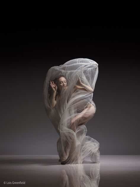 Lois Greenfield, Photo Shoot Tips, Dance Photo Shoot, Motion Photography, Dance Photos, Foto Art, Dance Art, Dance Photography, Artistic Photography