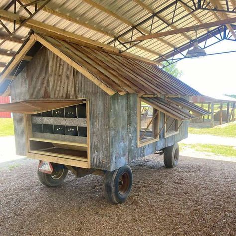 Diy Chicken Coop Ideas, Chicken Coop Ideas, Mobile Chicken Coop, Walk In Chicken Coop, Small Chicken Coops, Chicken Barn, Portable Chicken Coop, Poultry House, Chicken Pen