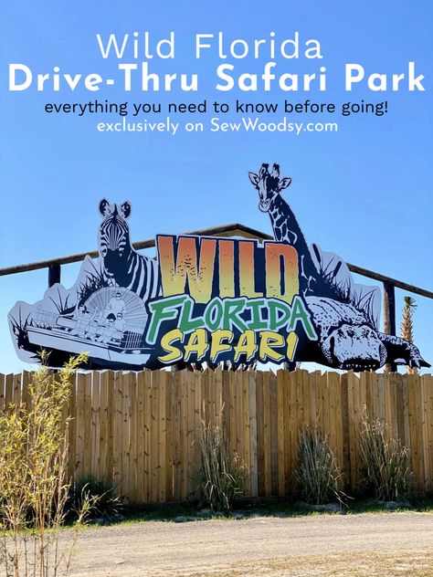 Wild Florida, Orlando Florida Vacation, Florida Parks, Orlando Family, Enrichment Activities, Safari Park, Drive Thru, Drive Through, Free Things To Do