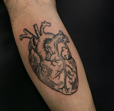 Human Heart Tattoo, Black Work Tattoos, Anatomy Tattoo, Anatomical Heart Tattoo, Tatoo Inspiration, Bunny Tattoos, Blackwork Tattoos, Watch Tattoos, Heart Tattoos