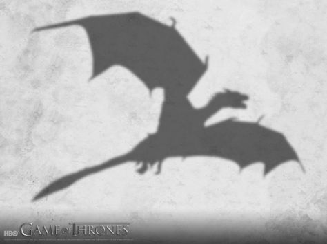 50+ Most Epic Game Of Thrones Wallpaper Tron Game, Dragon Shadow, Game Of Thrones Wallpaper, Game Of Thrones Instagram, Game Of Thrones Episodes, Medieval Princess, Happy 23rd Birthday, Game Of Thrones 3, Game Of Thrones Dragons