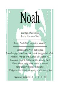 Meaning of Noah Noah Name Meaning, Noah Name, Vintage Airplane Nursery, Baby Sayings, Vintage Calligraphy, Airplane Nursery, Hebrew Names, Stylish Alphabets